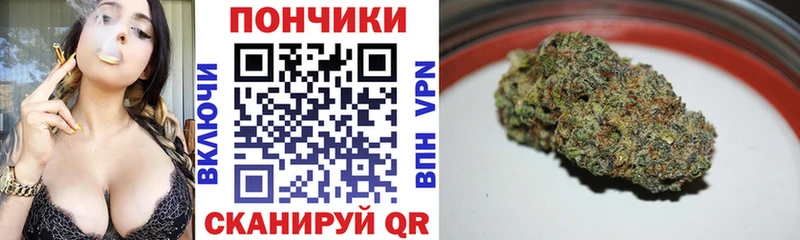Конопля план  Димитровград 